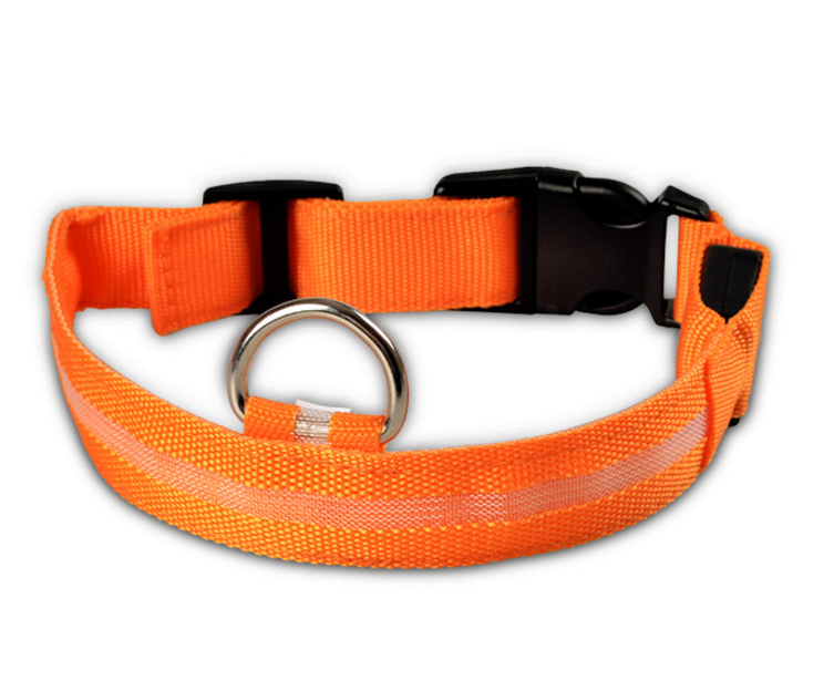 LED-Hundehalsband Orange bei Tageslicht