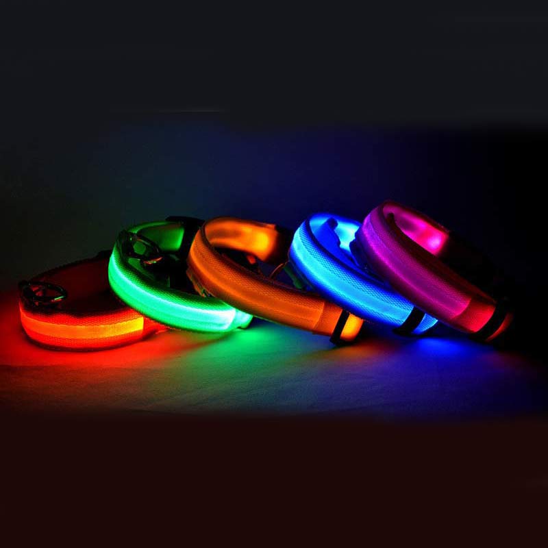 Collare luminoso a LED per cani – nylon, 3 modalità, dalla XS alla XL