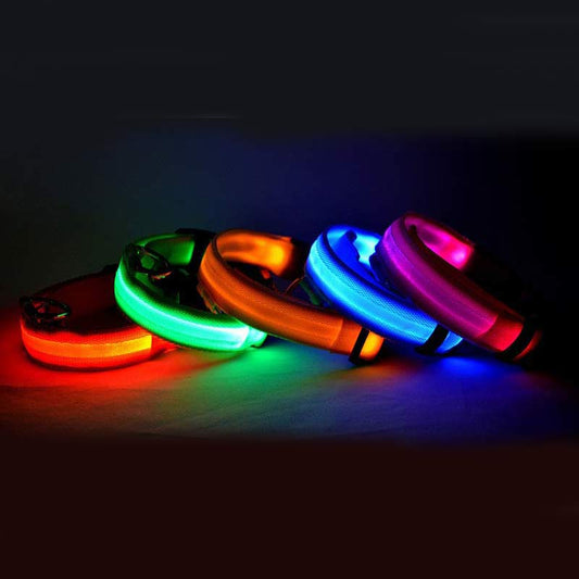 LED-Hundehalsband in mehreren Leuchtfarben bei Nacht