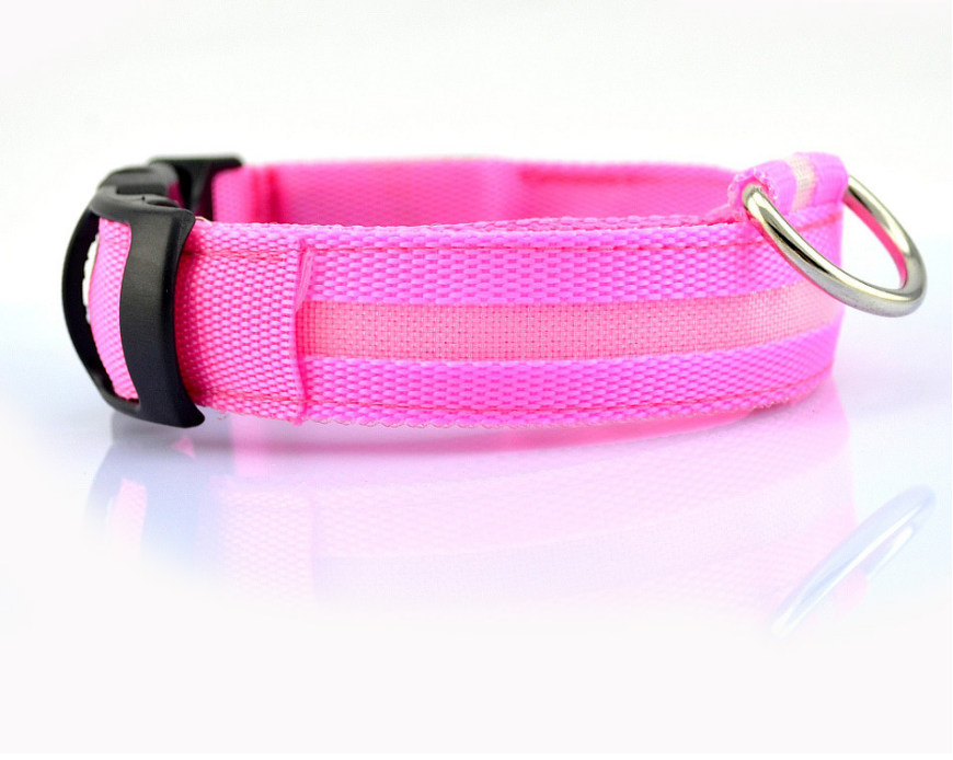 LED-Hundehalsband Rosa bei Tageslicht mit Steckschnalle und D-Ring